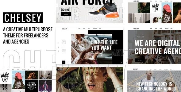 Chelsey Portfolio Theme For Freelancers And Agencies 1.0