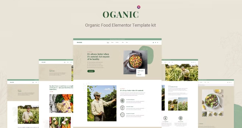 Oganic Organic Food Elementor Template Kit