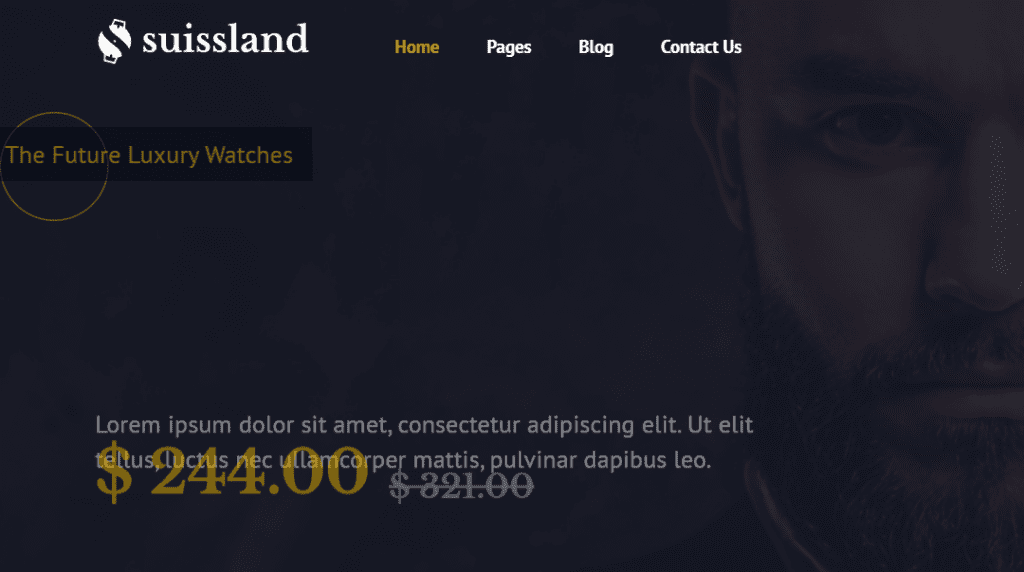 Suissland – Watch Shop Elementor Template Kit