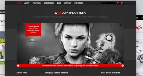 Ait Examination Wordpress Theme 1 1704290514