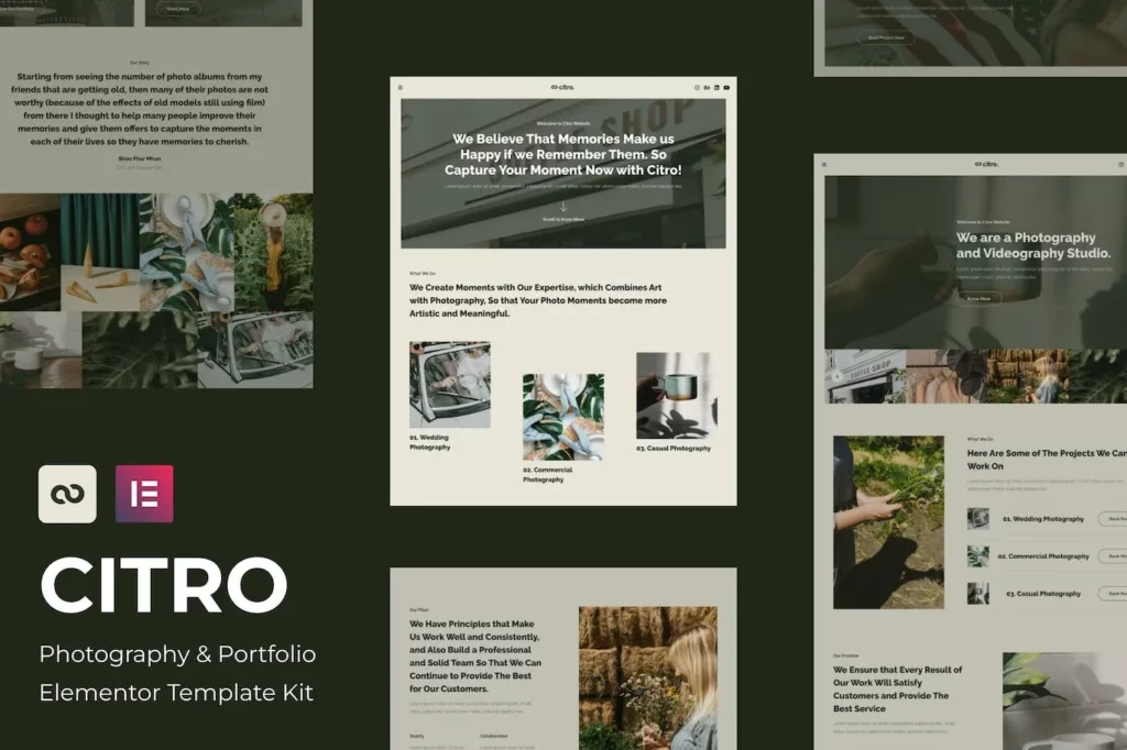 Citro – Photography &amp; Portolio Elementor Template Kit