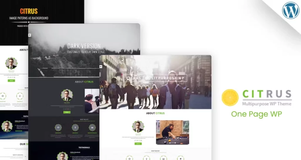 Citrus – One Page WordPress Theme 3.5