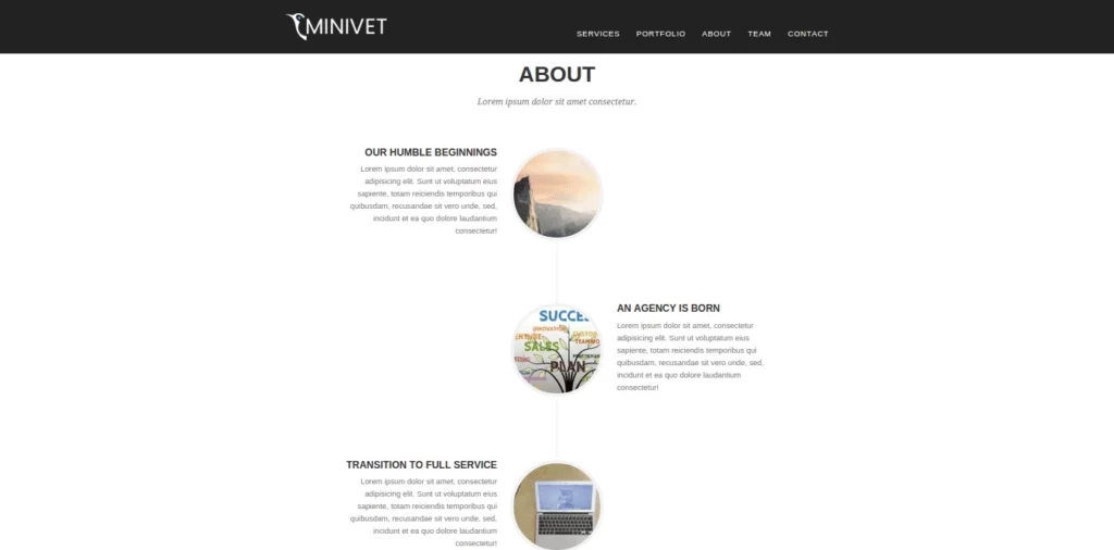 CyberChimps Minivet WordPress Theme 1.5