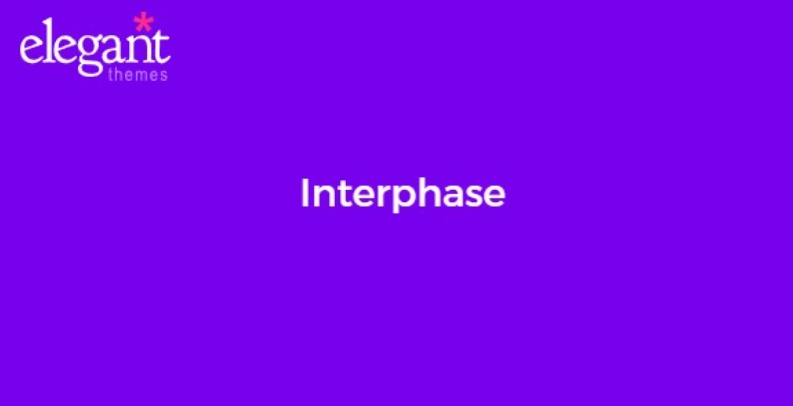 Elegant Themes Interphase 16 1703249852 1