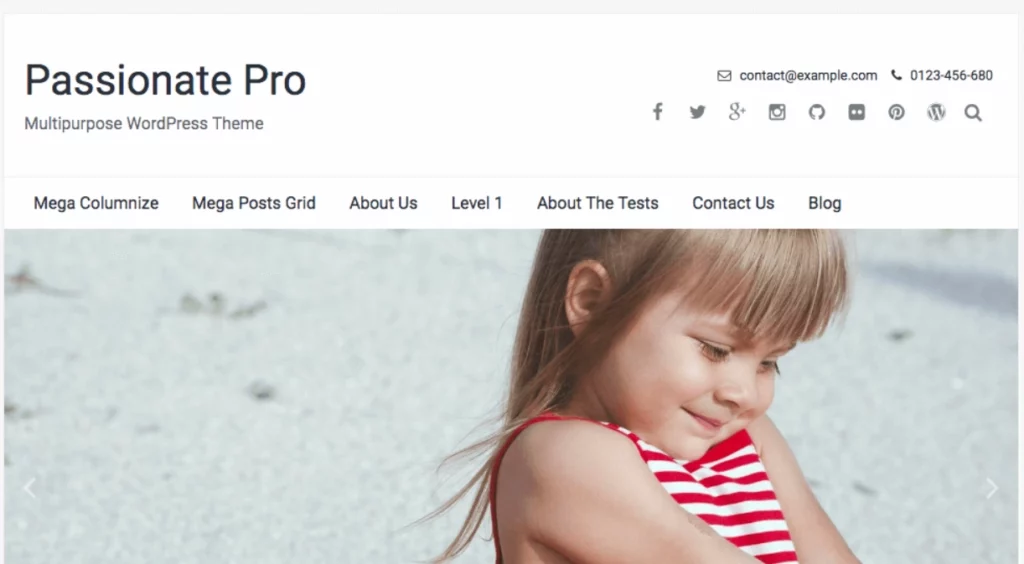 FameThemes Passionate Pro WordPress Theme 1.3.2
