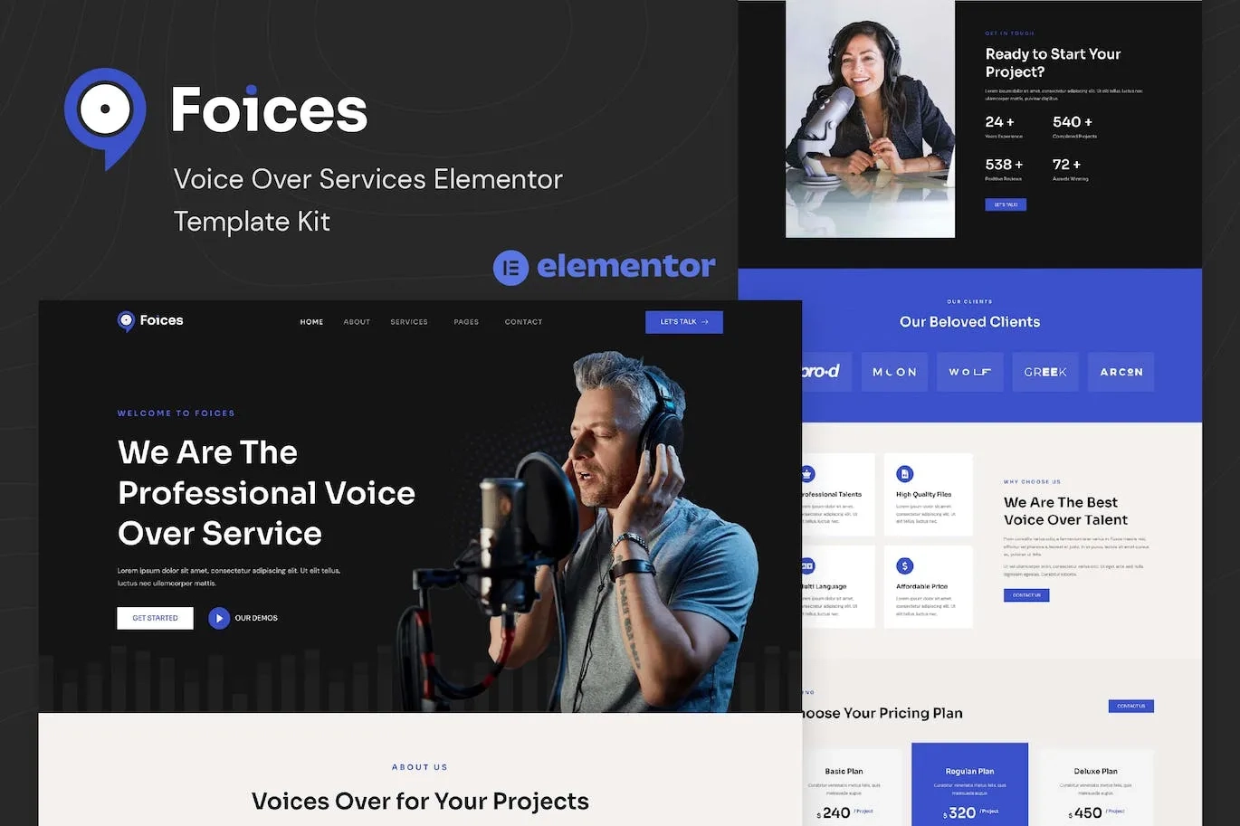 Foices Voice Over Services Elementor Template Kit 51 1698154406 1
