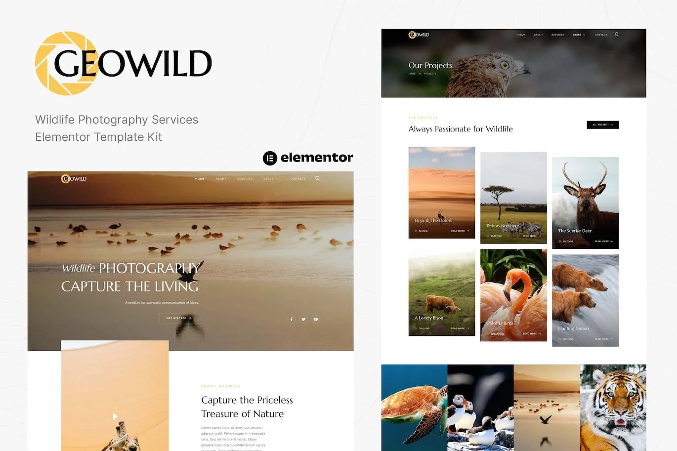 Geowild Wildlife Photography Services Elementor Template Kit 10 1697210100 1