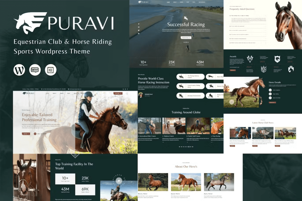 Puravi – Equestrian Club & Horse Riding Theme 1.0.1