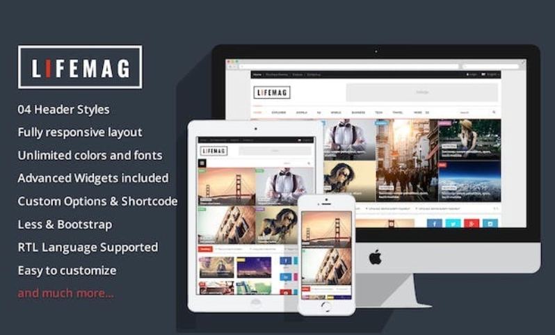 Lifemag Responsive Magazine Wordpress Theme 42 1689516482 1