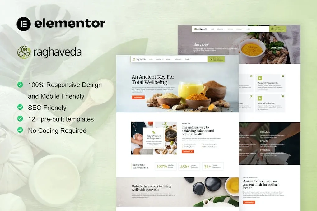 Raghaveda Ayurveda Treatment And Spa Elementor Template Kit 75 1696419597 1