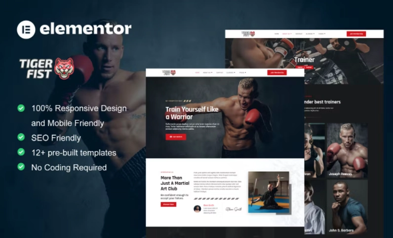 Tigerfist Martial Arts Elementor Template Kit 81 1652868029 1