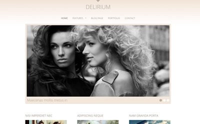 Viva Themes Delirium Wordpress Theme 71 1699291830 1