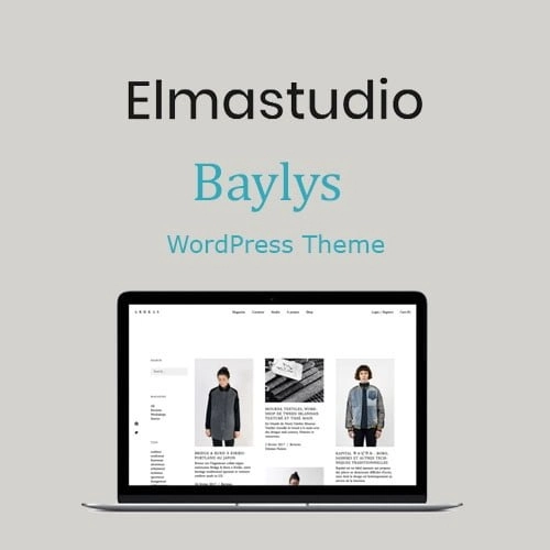 Elmastudio Baylys Wordpress Theme 22 1677099497 1